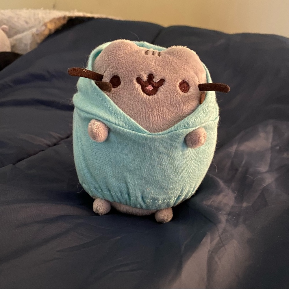 Pusheen wearing a hoodie plush